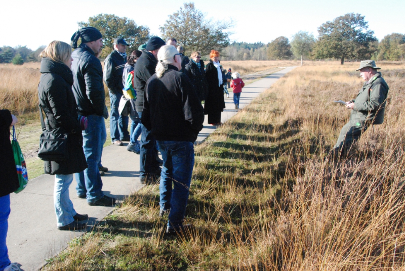 Boswandeling03_800x536